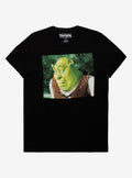 Shrek Bored Meme T-Shirt | Trending Graphic Tee For Fans