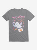 Harry Potter Hedwig Letter From Hogwarts T-Shirt | Trending Graphic Tee For Fans