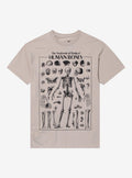 Human Bones Anatomy Chart By Goodie Two Sleeves T-Shirt | Trending Graphic Tee For Fans