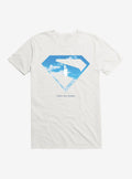 DC Superman Fly Up T-Shirt | Trending Graphic Tee For Fans
