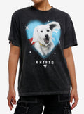 DC Comics Superman Krypto Heart T-Shirt | Trending Graphic Tee For Fans