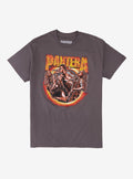 Pantera Band Portrait Flames T-Shirt | Trending Graphic Tee For Fans