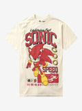 DC Comics Flash X Sonic The Hedgehog T-Shirt | Trending Graphic Tee For Fans