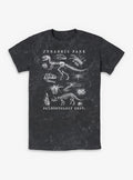 Jurassic Park Flora & Fauna Mineral Wash T-Shirt | Trending Graphic Tee For Fans