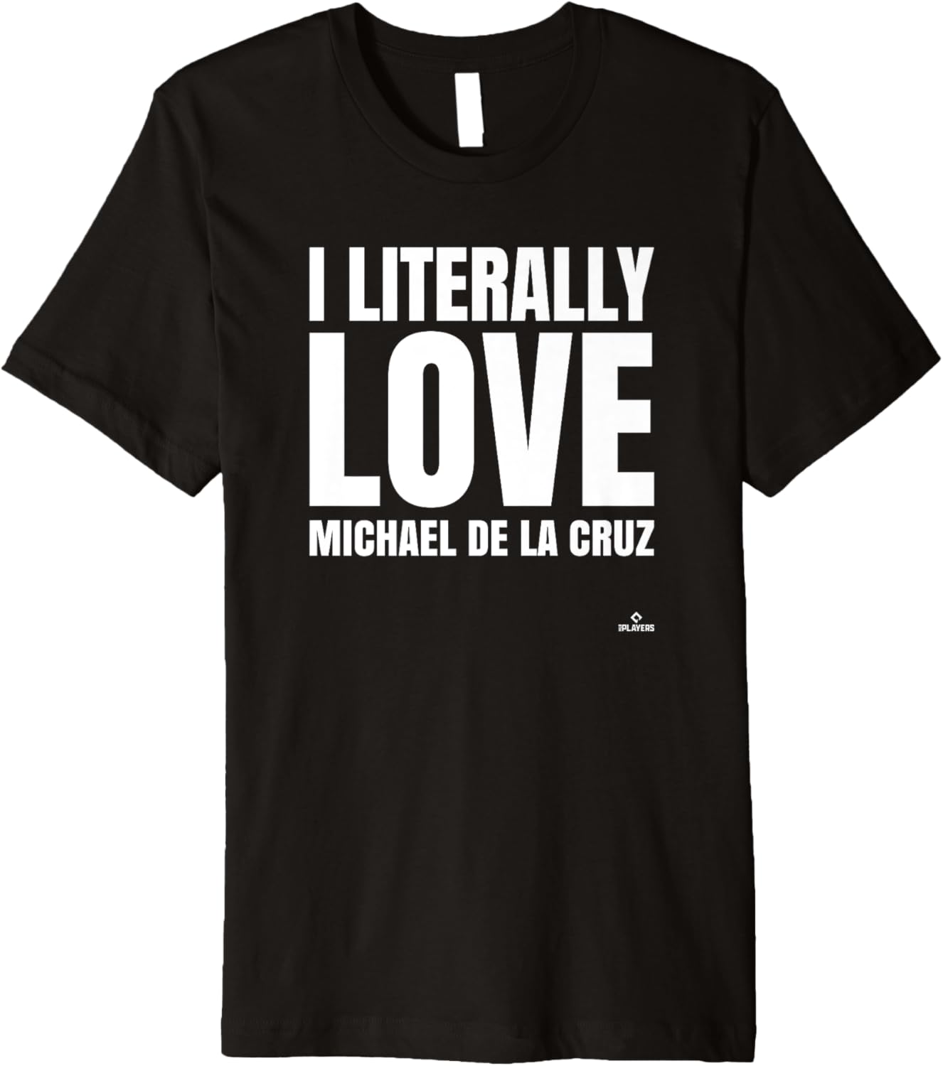 I Literally Love Michael De La Cruz Prospect Baseball Fan Premium Apparel | US Best Seller