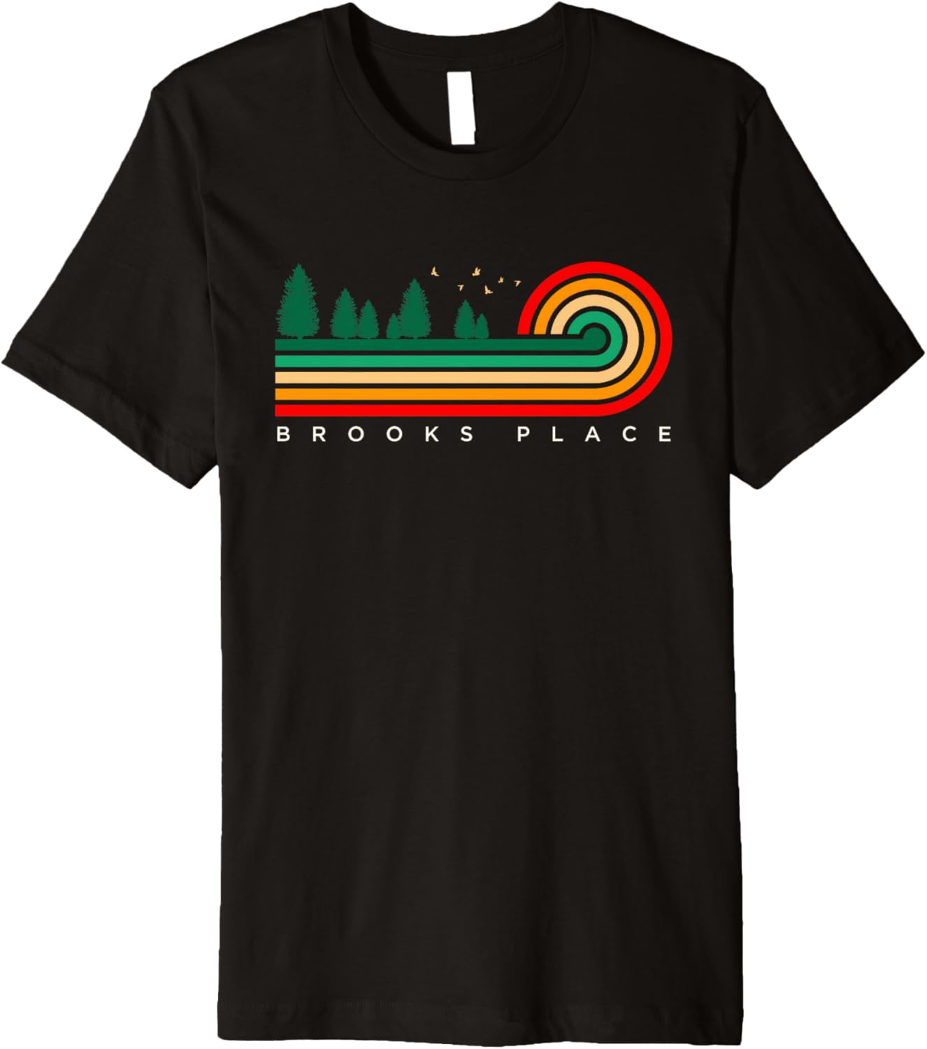 Evergreen Vintage Stripes Brooks Place, Massachusetts Premium Apparel | Trending 2025 | Aesthetic Casual Look
