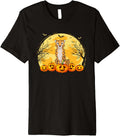 Funny Cheetah Pumpkins Halloween Costume Men Women Premium Apparel Streetwear Style Fan Favorite