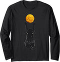 Black Cat Yarn Ball Long Sleeve Yarn Supply | Premium Quality | Customer Favorite