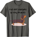 Wiener Dog Dachshund Friends In Low Places Funny Dog Lovers Apparel | Premium Quality | High CTR Boost