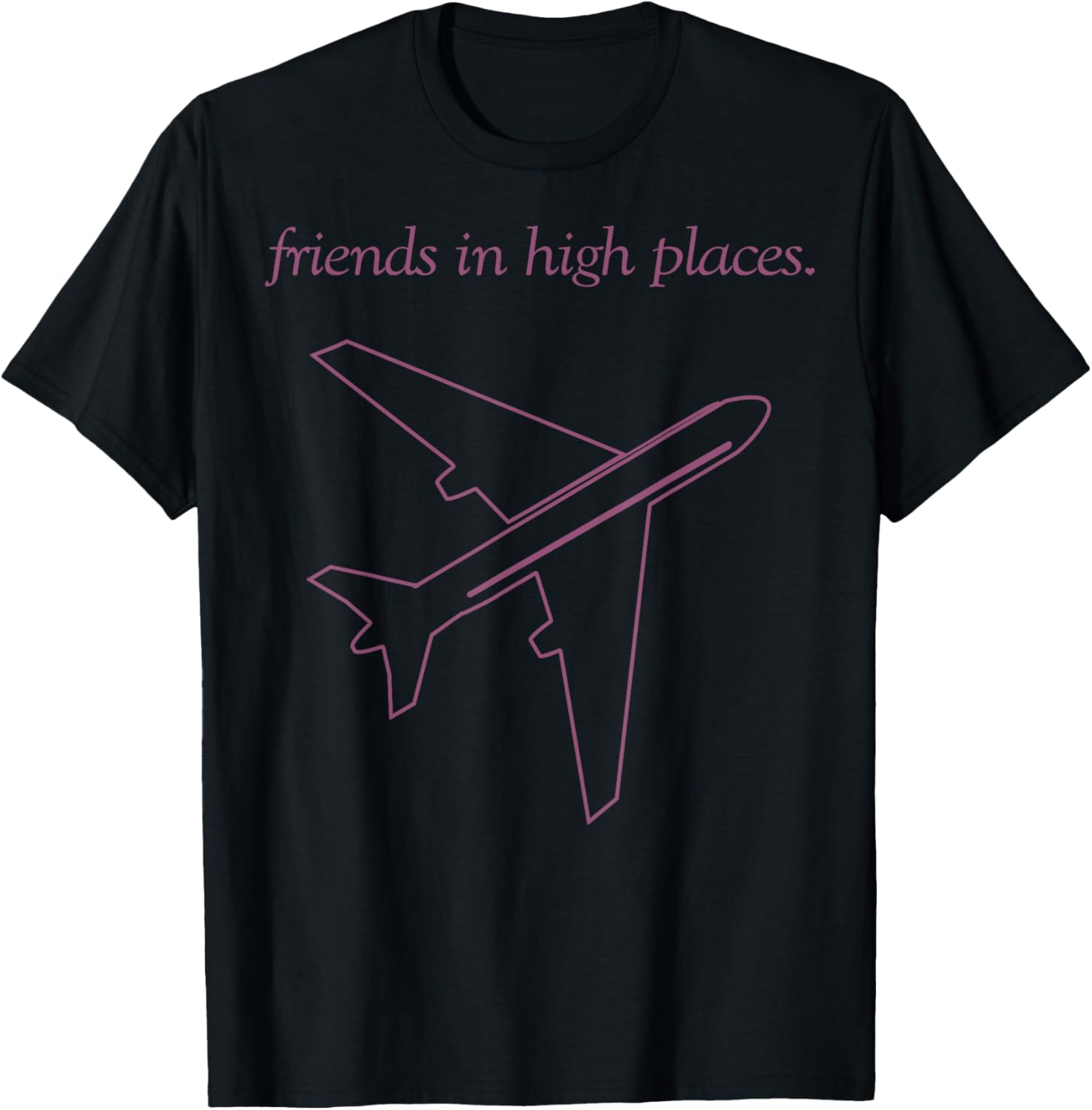 Friends In High Places Airplane Apparel | Trending 2025 | Perfect Gift Choice