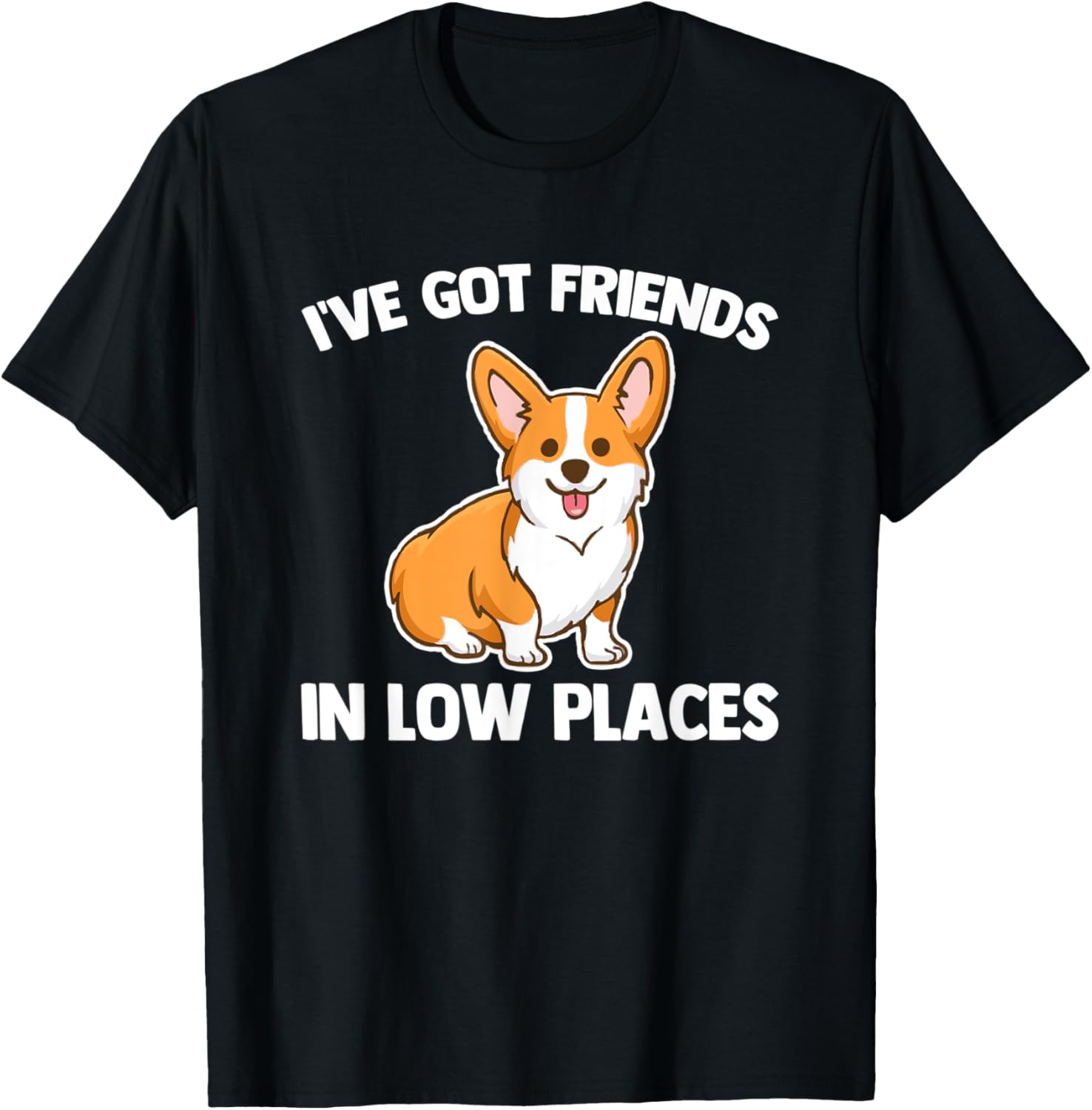 I've Got Friends In Low Places - Funny Corgi Owner Dog Corgi Apparel | Trending 2025 | Perfect Gift Choice