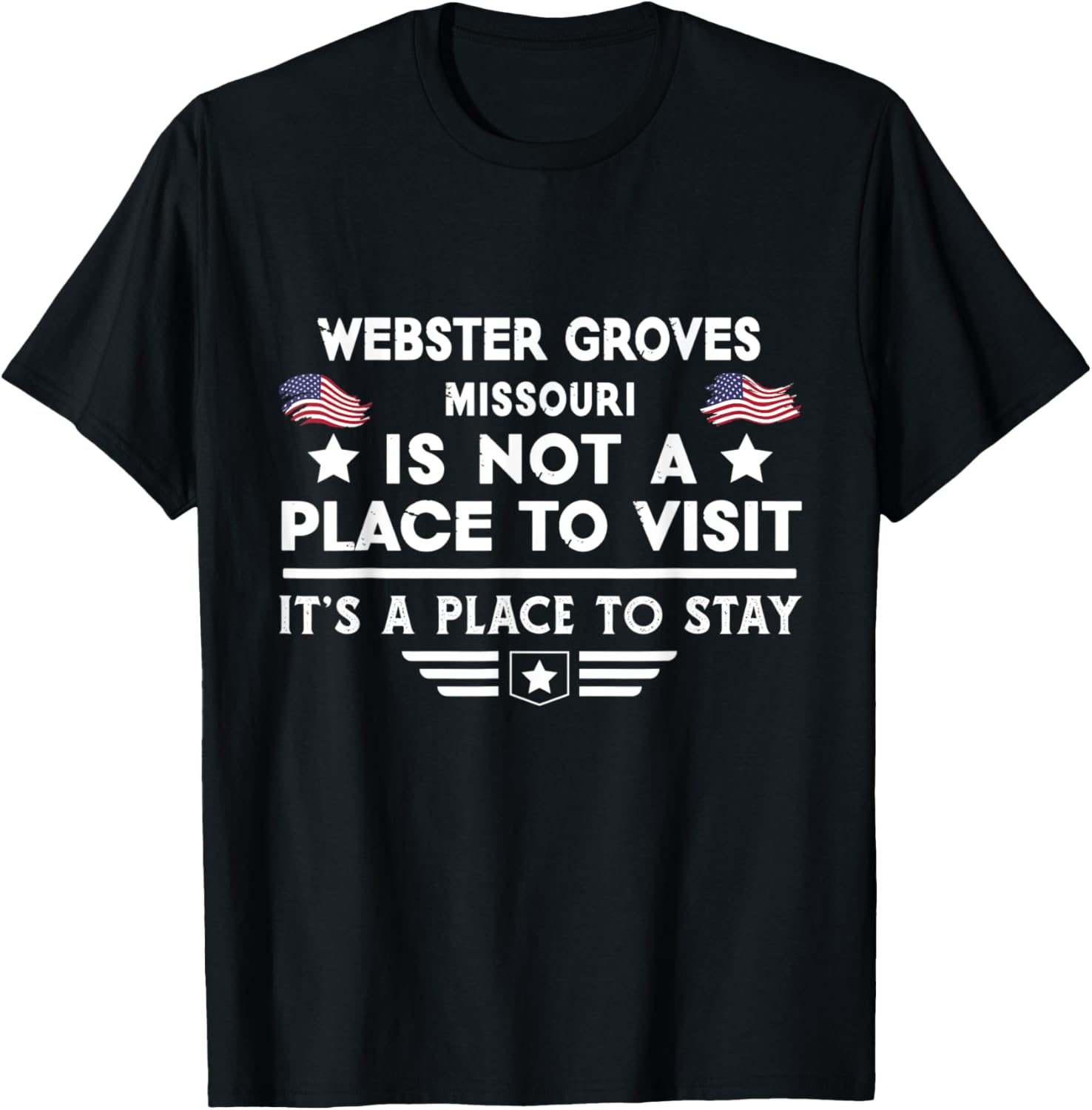 Webster Groves Missouri Place to stay USA Town Home City Apparel | Trending 2025 | Aesthetic Casual Look