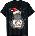 Christmas Cat Is This Jolly Enough Grumpy Christmas Men Women Kids Apparel | Bestseller Style | High CTR Boost