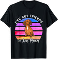 I've Got Friends In Low Places Dachshund Dog Men Women Kids Apparel | Premium Quality | Top Rated Comfort