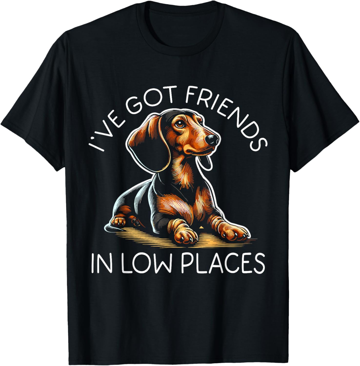 I've Got Friends In Low Places Dachshund Chiweenie Wiener Apparel | Trending 2025 | High CTR Boost