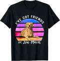 I've Got Friends In Low Places Golden Retriever Dog Apparel | Premium Quality | Top Rated Comfort