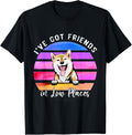 I've Got Friends In Low Places Shiba inu Dog Apparel | Top Conversion Title | Aesthetic Casual Look