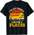I've Got Friends In Low Places Funny Vintage Dachshund Dog Apparel | High Search Volume | Perfect Gift Choice
