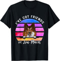 I've Got Friends In Low Places Sheltie Dog T-Shirt for Men Women Kids T-Shirt | Trending 2025 | Aesthetic Casual Look