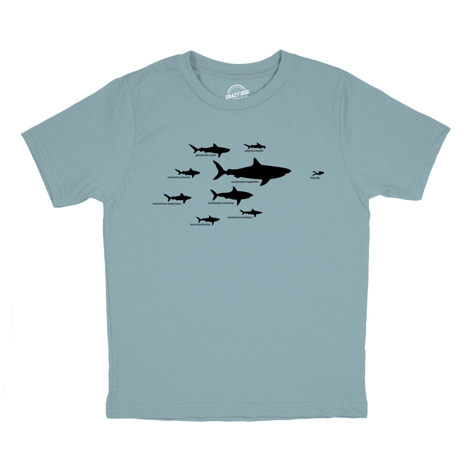 Youth Shark Types Shirt Shark Tshirts Shark Hierarchy T Shirt Funny Youth T Shirt Great White Shirt Ocean Lovers Cool Shirts for Kids Graphic Tee – Warm & Stylish · High-Quality Print