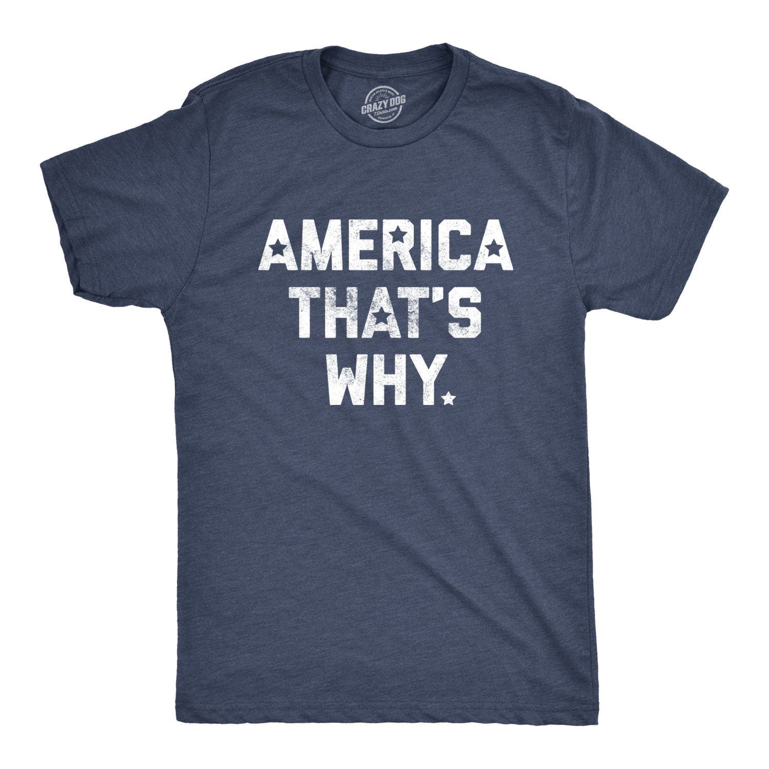 Mens Independence Day T Shirt4th July Celebration America That39s Why ShirtAmerica Shirt Guys Party Shirts Patriotic Beer Shirt Graphic Tee – Fan Favorite · Great Gift For Fans