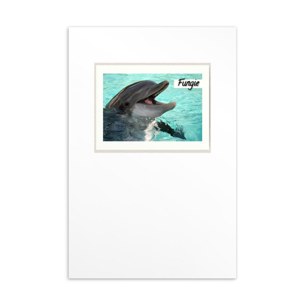 Fungie The Dolphin Postcard Graphic Tee – Bold Style · High-Quality Print