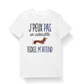 Teckel Je Peux Pas T Shirt Homme Femme Enfant Body Bb Mug Collection Chien Graphic Tee – Aesthetic Look · Trending Graphic Apparel