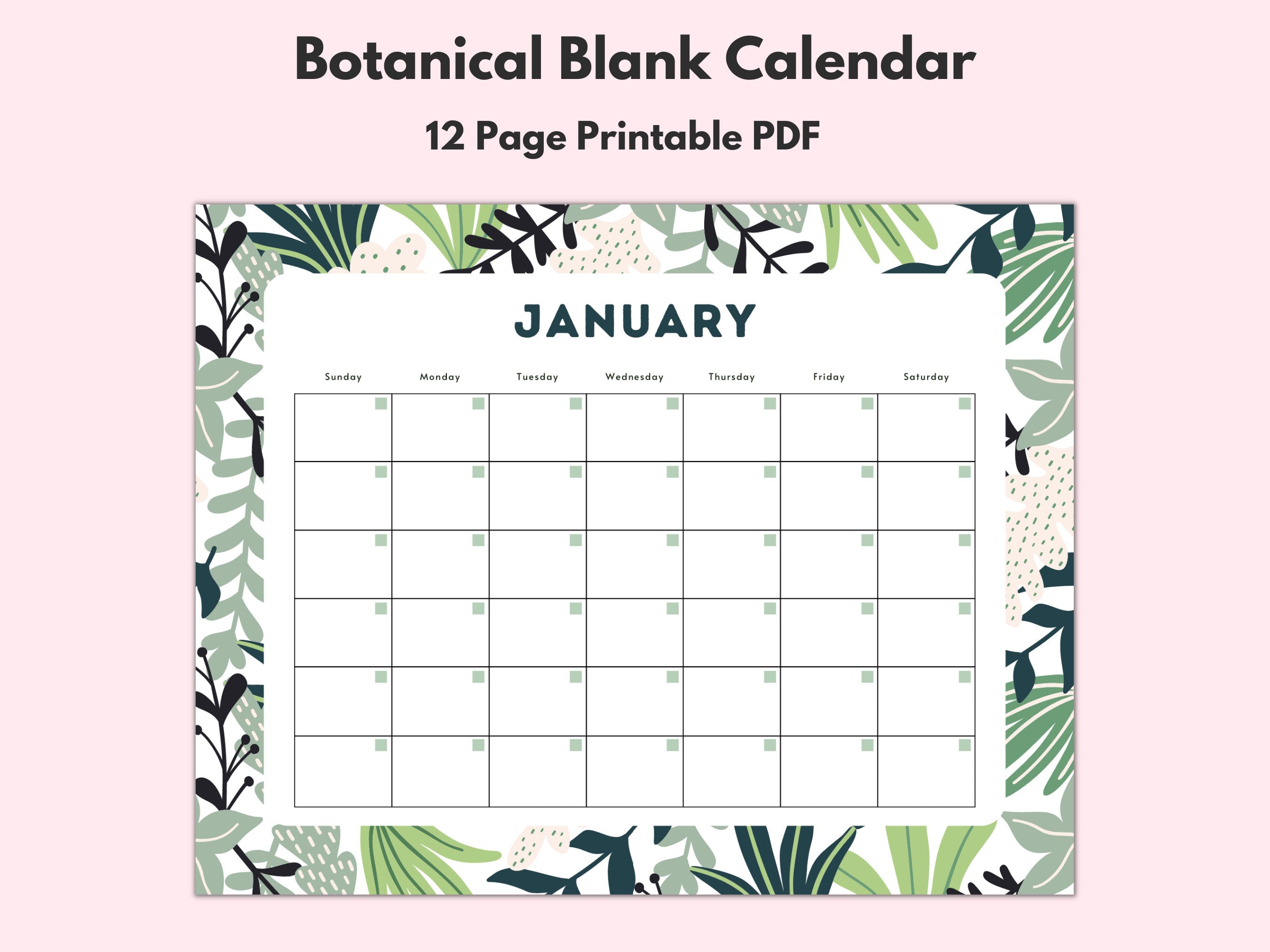 Botanical Calendar Monthly Blank Calendar Printable Calendar Template Horizontal Printable Calendar Pages PDF Printable Download Graphic Tee – Cozy Vibes · High-Quality Print