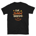 One Thankful Grammy Thanksgiving T Shirt Graphic Tee – Warm & Stylish · Perfect For Daily Wear