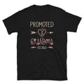 Promoted to Grandma Again est 2022 T Shirt Graphic Tee – Everyday Comfort · High-Quality Print