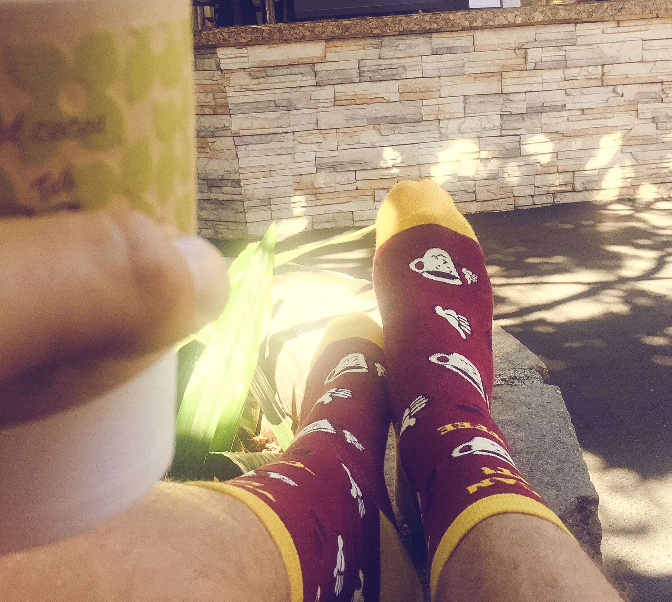 Unisex Coffee Socks You Can Do It Socks Coffee Socks Funny Socks Inappropriate Socks Funky Womens Socks Funny Socks Coffee Cup Graphic Tee – Bold Style · Trending Graphic Apparel