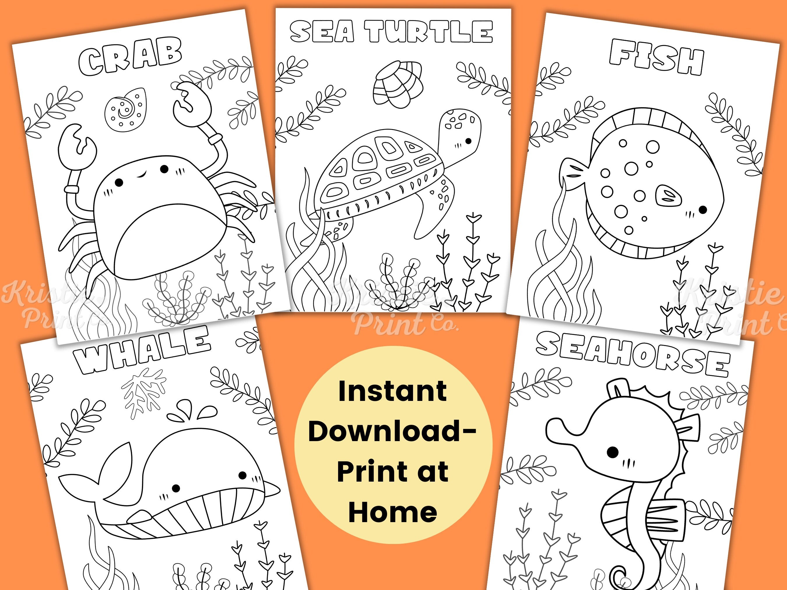 Sea Animal Coloring Pages for Kids Kids Party Games Under the Sea Favors Animal Coloring Sheet Baby Shower Activities Ocean Preschool Graphic Tee – Warm & Stylish · Trending Graphic Apparel