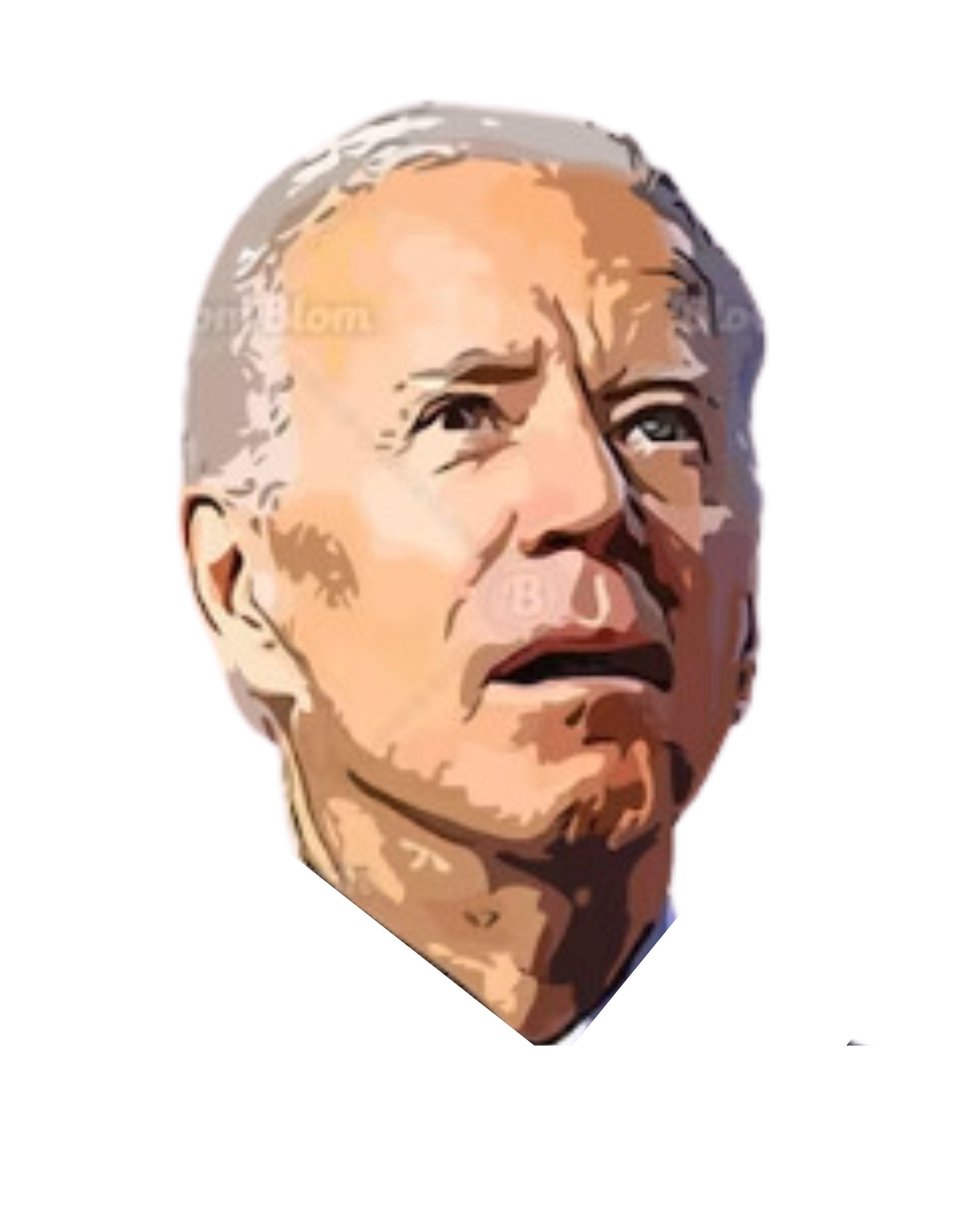 Joe Biden Head Stickerpack Bubble free stickers Graphic Tee – Fan Favorite · Must-Have Style