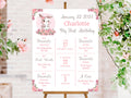 EDITABLE Milestone Poster First Birthday Bunny Birthday Decorations Milestone Birthday Sign Printable Sign Girl 1st Birthday Decor BUNNY1 Graphic Tee – Feel-Good Design · High-Quality Print