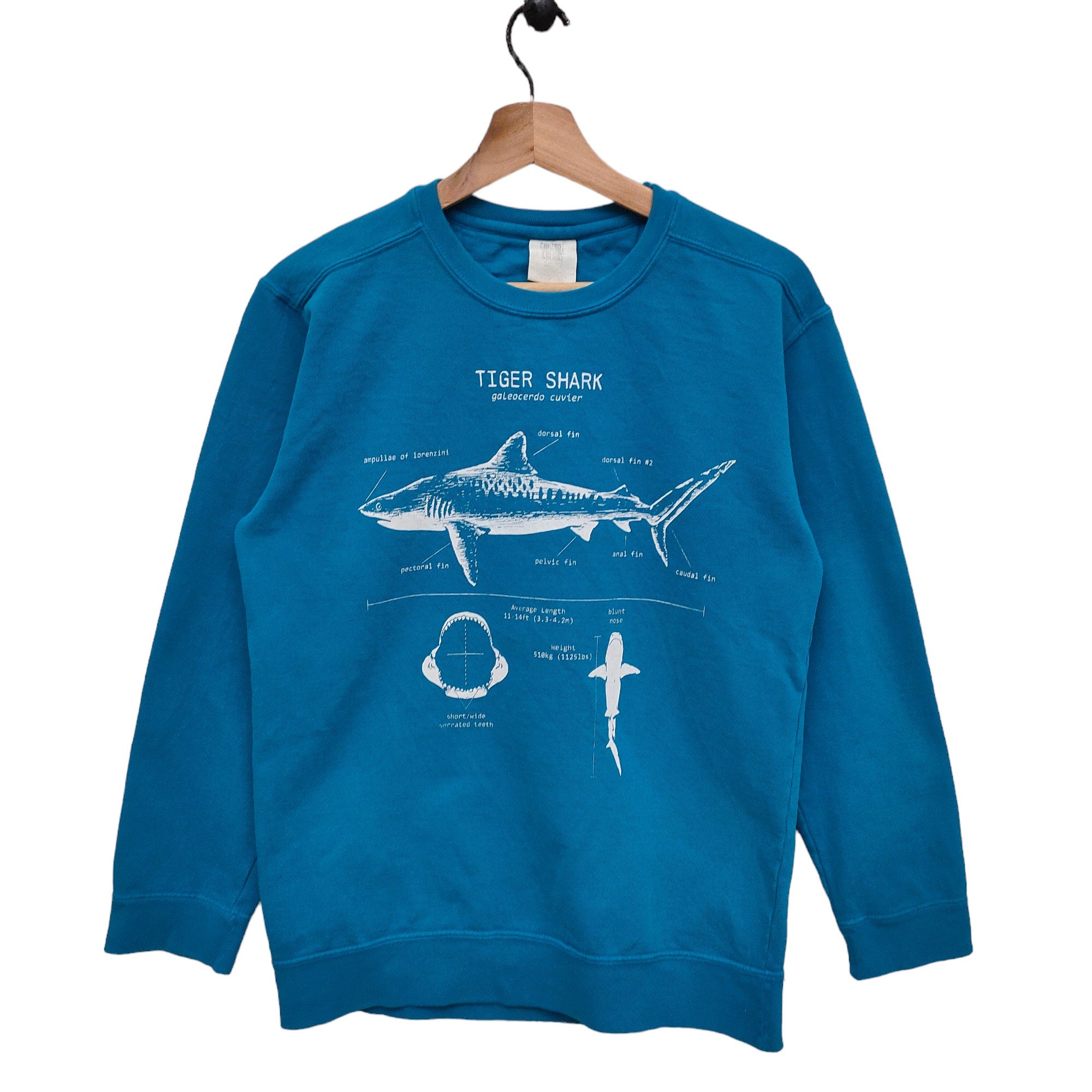 Y2K Tiger Shark Sweatshirt Small Vintage Animal Sweater Jumper Crewneck Size S Sweatshirt – Aesthetic Look · Trending Graphic Apparel