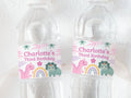 Dinosaur Water Bottle Labels Girl Dinosaur Party Decorations Pink Dinosaur Cute Dinosaur Water Bottle Label Template Girl Dino Birthday DIN2 Graphic Tee – Everyday Comfort · Top Pick For Any Outfit