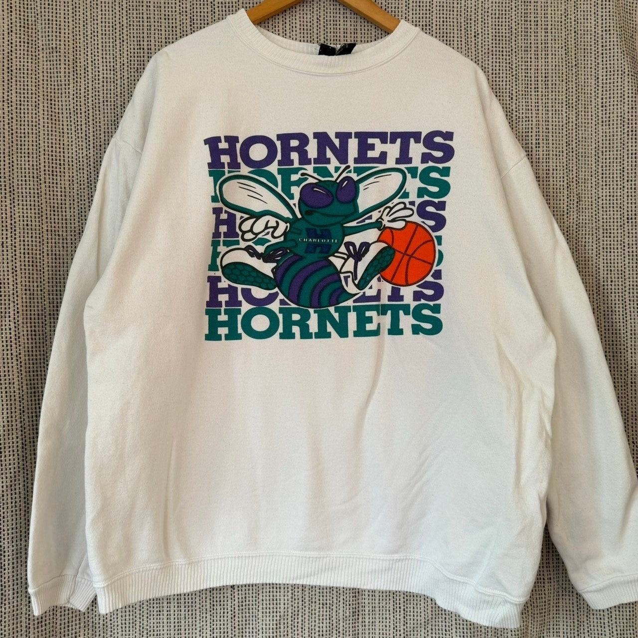 Vintage 90s NBA Charlotte Hornets Sweater Graphic Tee – Aesthetic Look · Top Pick For Any Outfit