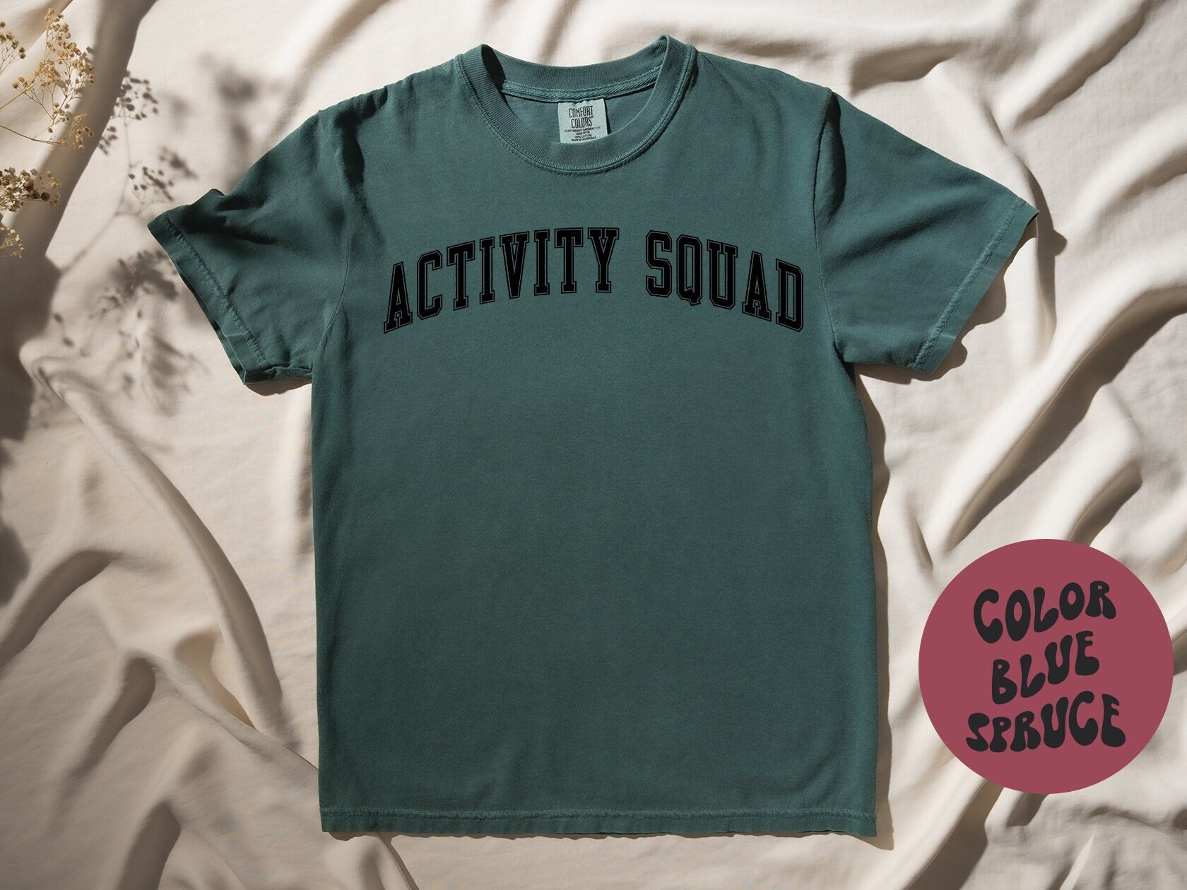Activity Squad Assistant Coordinator Social Worker Shirt Gifts COMFORT COLORS Tshirt Crew Neck Tee Crewneck Short Sleeve Men Women Graphic Tee – Aesthetic Look · Perfect For Daily Wear