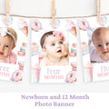 Sweet One Photo Banner First Birthday Monthly Photo Banner Sweet One Birthday 1St Birthday Girl First Year Photos 12 Months Banner SWE1 Graphic Tee – Premium Graphic · Must-Have Style