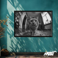 Curious Whiskers Adorable Cat Portrait Fish eye Lens Wall Art Instant Download Digital Poster Graphic Tee – Bold Style · Trending Graphic Apparel