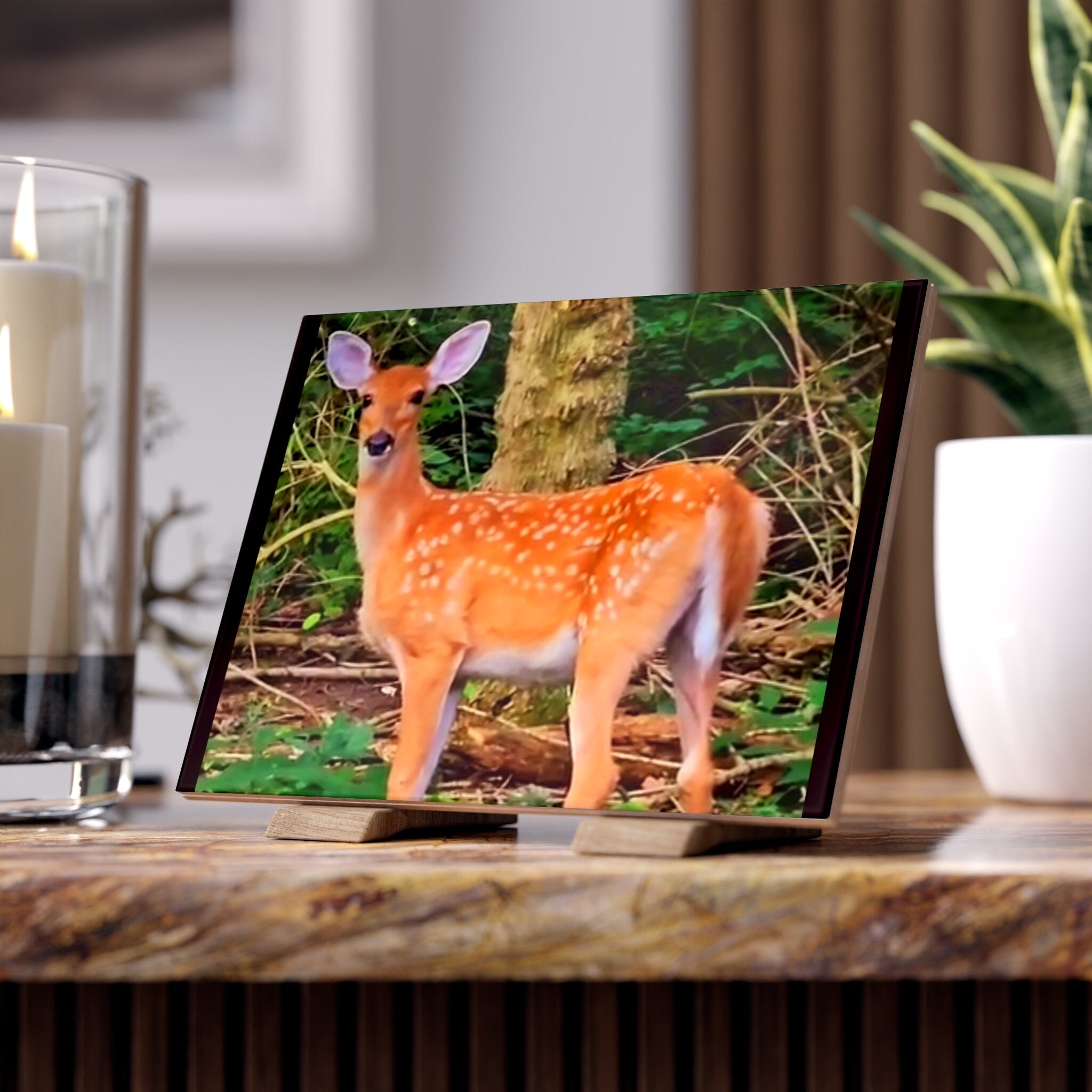 Deer Ceramic Photo Tile Nature Lover Rustic Home RV Cabin Decor Photo Gift For Animal Lover Birthday One Size 6quot x 8quot Graphic Tee – Bold Style · Great Gift For Fans