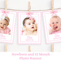 12 Month Photo Banner Download Monthly Photo Banner Girl 1st Birthday Pink Bow Birthday Party Decor Baby Photo Banner First Year Photo PINK1 Graphic Tee – Cozy Vibes · High-Quality Print