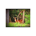 Ceramic Deer Photo Tile Home Decor Cabin Deer Decor Deer Camp RV Life Wall Photo Gift For Birthday Graphic Tee – Easygoing Wear · Perfect For Daily Wear