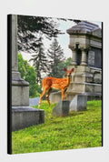 Bambi Deer Canvas Art Ohio Rustic Cemetery Bambi Real Photograph Canvas Stretched 075quot Wall Art Home Decor Picture Graphic Tee – Cozy Vibes · Trending Graphic Apparel