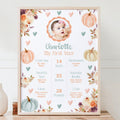Pumpkin Milestone Poster Fall Birthday Decor 1St Birthday Poster Pumpkin 1St Birthday Milestone Board Our Little Pumpkin Birthday Sign PN4 Graphic Tee – Easygoing Wear · Great Gift For Fans