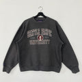 Vintage Seattle Pacific University Sweatshirt Seattle Pacific Crewneck Seattle Pacific Sweater Seattle Pacific Falcons Print Logo Medium Sweatshirt – Easygoing Wear · High-Quality Print