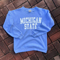 Vintage Y2K Lee Tag Michigan State Spellout Biglogo Printed Sweatshirt Crewneck Pullover Sweater Michigan Colour Soft Blue Size Youth Large Sweatshirt – Feel-Good Design · Trending Graphic Apparel