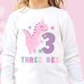 Three Rex Shirt Long Sleeves Third Birthday Shirt Dinosaur Birthday Girl Shirt Three Year Old TShirt Dino Party Girl 3rd Birthday T Shirt Graphic Tee – Everyday Comfort · Perfect For Daily Wear