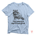 It Is What It Is and It Is Not Great Funny Raccoon Tshirt Sarcastic Animal Graphic Tee Y2K style clothing Funny Quote Shirt Graphic Tee – Premium Graphic · Must-Have Style