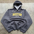 Vintage Y2K Boston Phys Ed Heavyweight Distressed Hoodie Hoodie – Aesthetic Look · Perfect For Daily Wear
